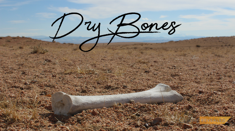 Dry Bones